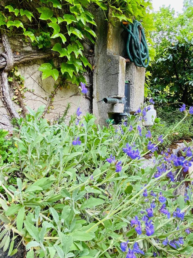Les Chambres D'Hotes Du Bois Joli Semur-en-Auxois Exteriér fotografie