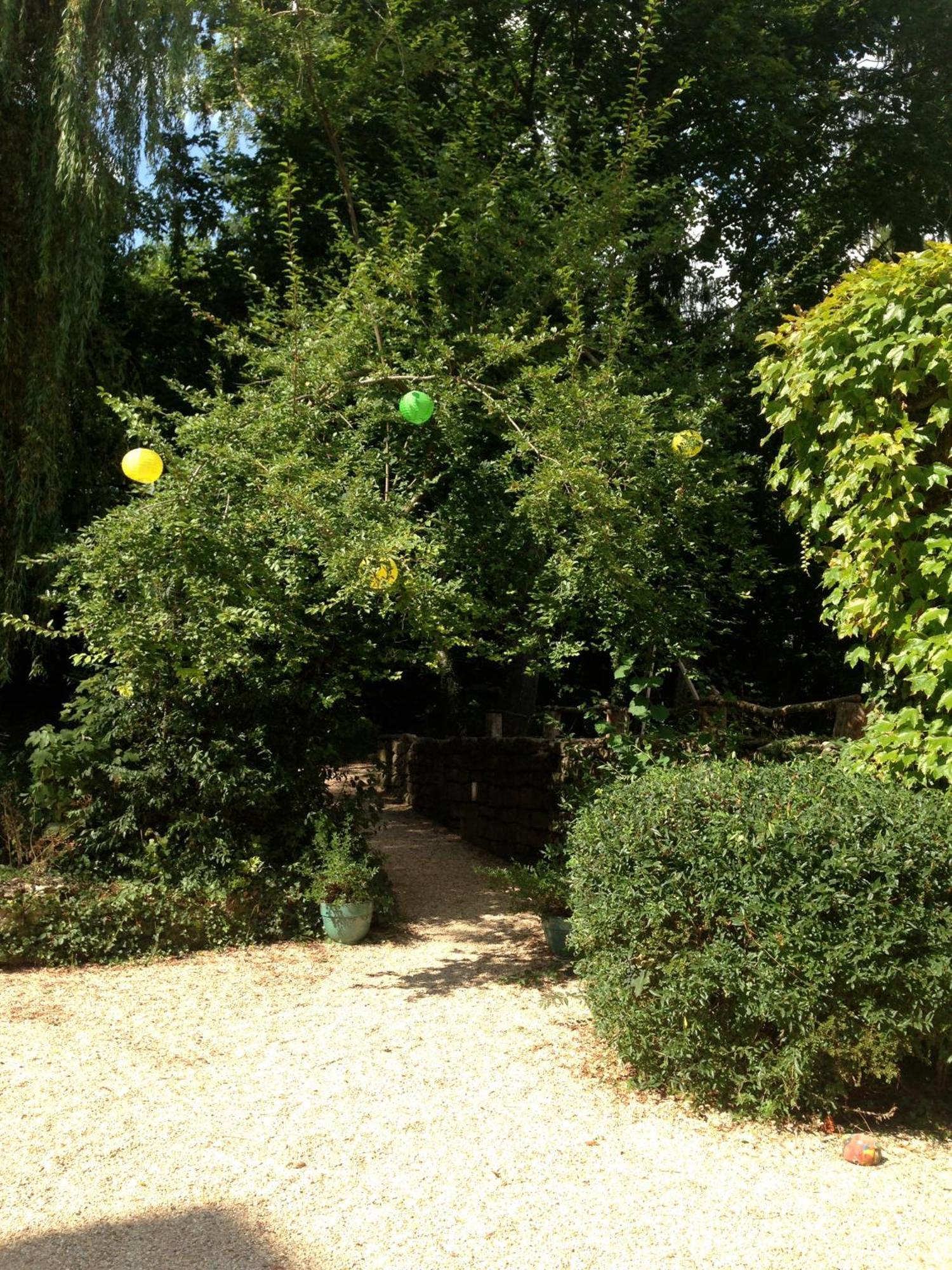 Les Chambres D'Hotes Du Bois Joli Semur-en-Auxois Exteriér fotografie